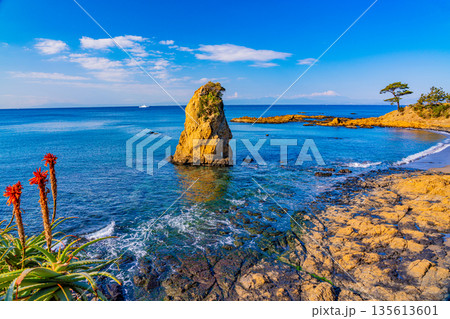 （神奈川県）立石公園から富士山遠望 135613601
