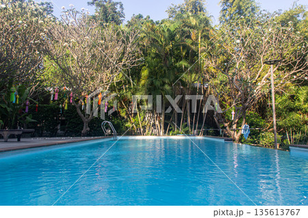 Swimming pool with sun loungers and  trees on background 135613767
