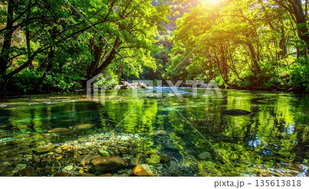 《AI画像》新緑の美しい森と清流 《AI画像》新緑の美しい森と清流 135613818