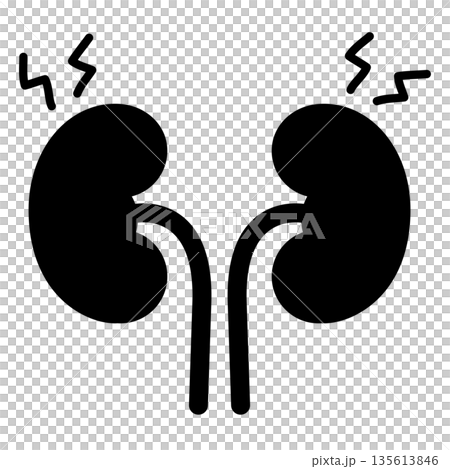 腎炎・結石・腎不全・医療・不調を表現する腎臓の痛みアイコン・内臓疾患や健康被害・健康診断や医学系 135613846