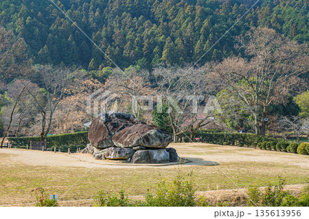 石舞台古墳　奈良県明日香村 135613956