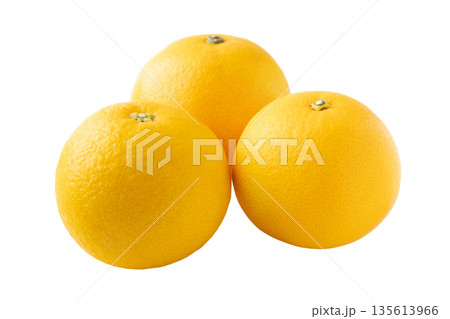 透明背景（png）に3個のはっさく（八朔） 135613966