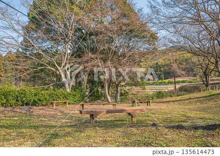 石舞台古墳展望台からの景観 奈良県明日香村 石舞台古墳展望台からの景観 奈良県明日香村 135614473