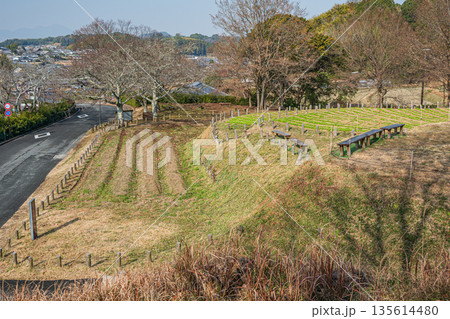 石舞台古墳展望台からの景観　奈良県明日香村 135614480