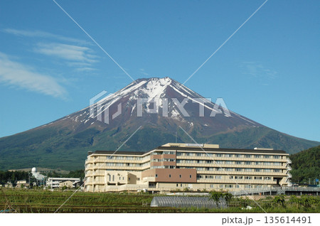 富士吉田市立病院越しに見る初夏の青空の下、深緑のすそ野と群青色の山肌に残る雪の白がくっきりした富士山 富士吉田市立病院越しに見る初夏の青空の下、深緑のすそ野と群青色の山肌に残る雪の白がくっきりした富士山 135614491