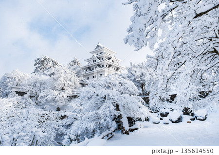 雪の郡上八幡城 135614550