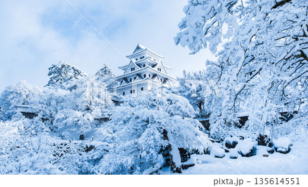 雪の郡上八幡城 雪の郡上八幡城 135614551