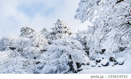 雪の郡上八幡城 135614552
