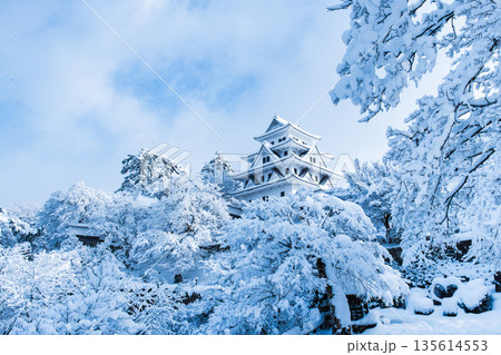 雪の郡上八幡城 雪の郡上八幡城 135614553