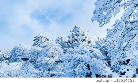 雪の郡上八幡城 雪の郡上八幡城 135614555