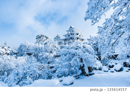 雪の郡上八幡城 雪の郡上八幡城 135614557