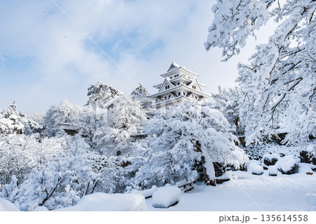 雪の郡上八幡城 雪の郡上八幡城 135614558