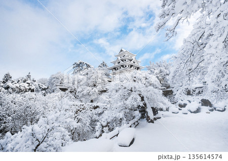 雪の郡上八幡城 雪の郡上八幡城 135614574