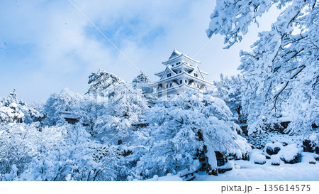 雪の郡上八幡城 135614575