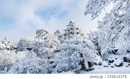 雪の郡上八幡城 雪の郡上八幡城 135614576