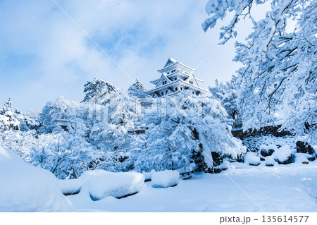 雪の郡上八幡城 135614577