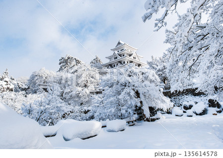 雪の郡上八幡城 雪の郡上八幡城 135614578