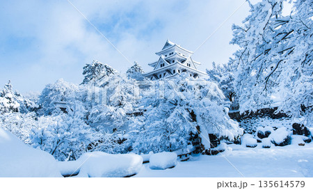 雪の郡上八幡城 雪の郡上八幡城 135614579
