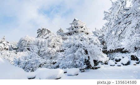 雪の郡上八幡城 雪の郡上八幡城 135614580
