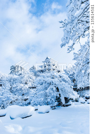 雪の郡上八幡城 雪の郡上八幡城 135614581