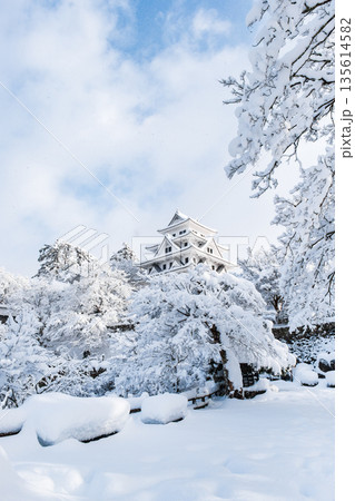 雪の郡上八幡城 雪の郡上八幡城 135614582