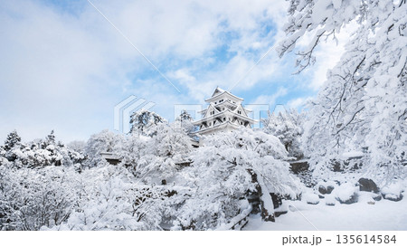 雪の郡上八幡城 雪の郡上八幡城 135614584