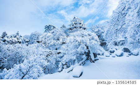 雪の郡上八幡城 雪の郡上八幡城 135614585
