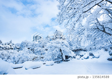 雪の郡上八幡城 雪の郡上八幡城 135614589
