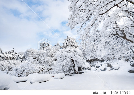 雪の郡上八幡城 雪の郡上八幡城 135614590