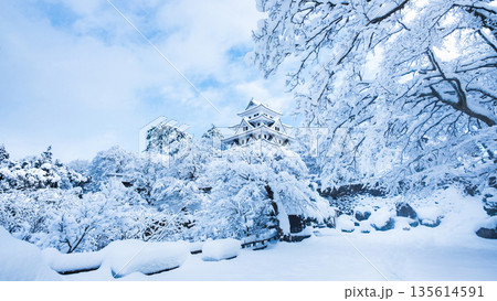 雪の郡上八幡城 135614591