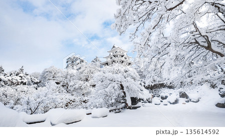 雪の郡上八幡城 雪の郡上八幡城 135614592