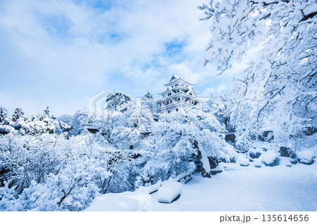 雪の郡上八幡城 雪の郡上八幡城 135614656