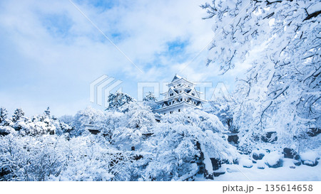 雪の郡上八幡城 雪の郡上八幡城 135614658