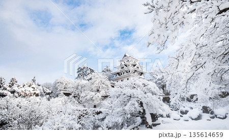 雪の郡上八幡城 雪の郡上八幡城 135614659