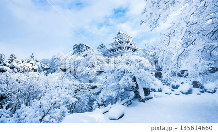 雪の郡上八幡城 雪の郡上八幡城 135614660
