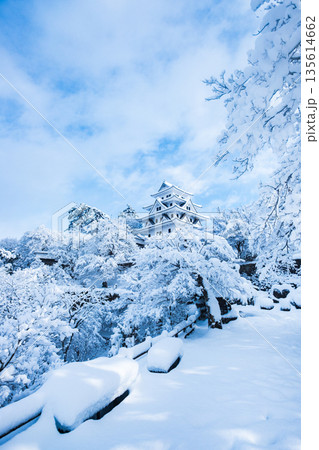 雪の郡上八幡城 雪の郡上八幡城 135614662