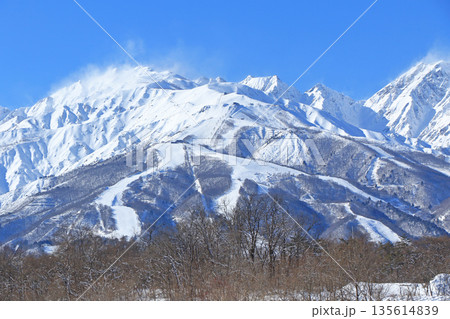 白馬村　八方尾根スキー場 135614839
