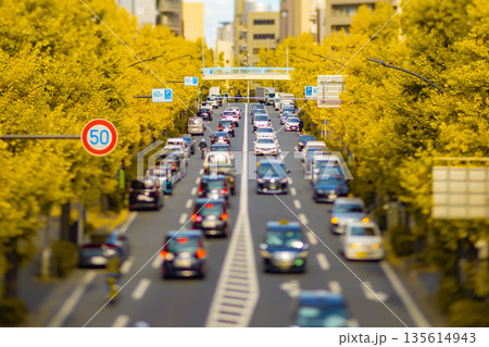 ミニチュア風・恵比寿周辺の黄色に色づいたイチョウ並木【秋イメージ】 135614943