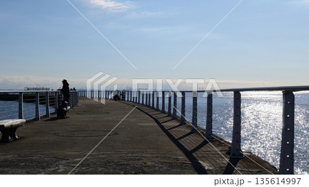 検見川浜北側突堤　千葉市美浜区 135614997