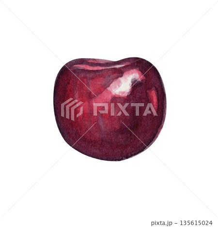 Single cherry isolated on white background, hand-painted watercolor illustration. Realistic texture, fruit element for food packaging, labels, branding, patterns, nutrition concepts, summer design 135615024