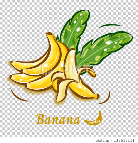 香蕉普普藝術材料 | 清新可愛的水果向量插圖 135615111