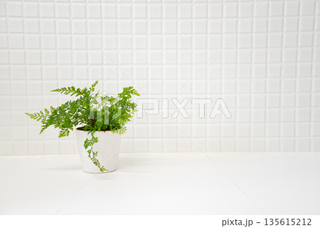 白いタイルの部屋に置かれた観葉植物 135615212