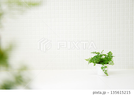 おしゃれな観葉植物とボケのある背景素材 おしゃれな観葉植物とボケのある背景素材 135615215