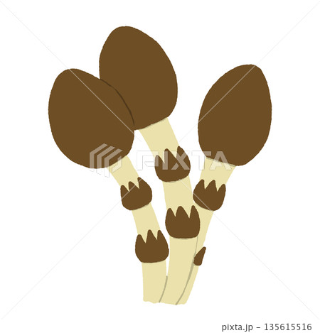 つくしアイコン つくしアイコン 135615516