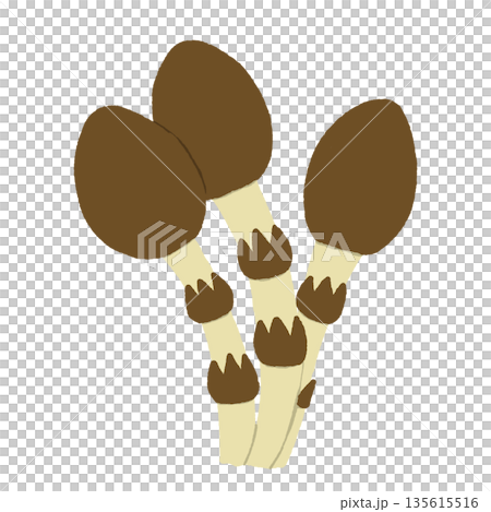 つくしアイコン つくしアイコン 135615516