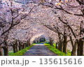桜並木 135615616