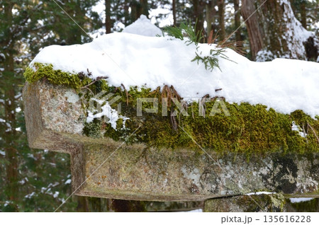 雪を被った石塔(高野山/和歌山県伊都郡高野町高野山) 雪を被った石塔(高野山/和歌山県伊都郡高野町高野山) 135616228