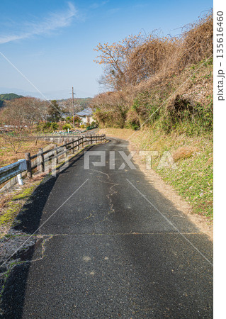 冬の明日香村風景　奈良県 135616460