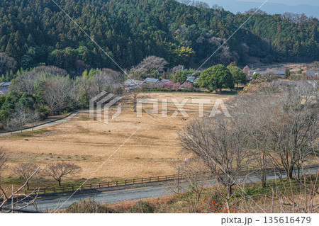 冬の明日香村風景　石舞台古墳芝生広場　奈良県 135616479