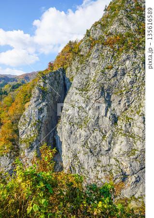 明星山（糸魚川市） 135616589
